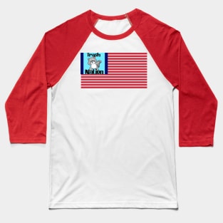 Trash Panda Flag Baseball T-Shirt